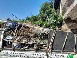 Same-Day Junk Removal Services